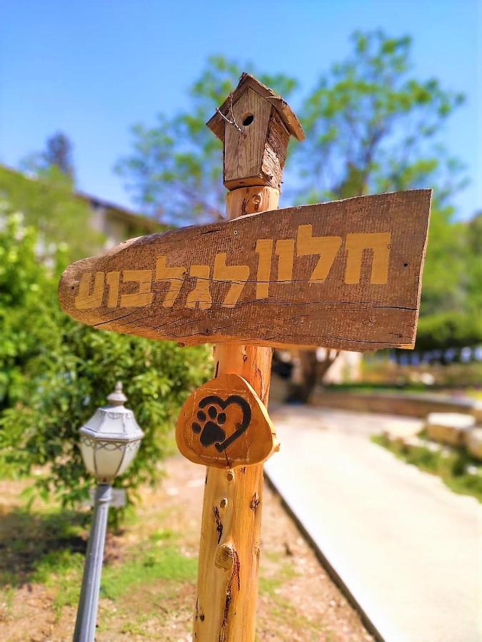 חלון לגלבוע בוטיק בעמק המעיינות