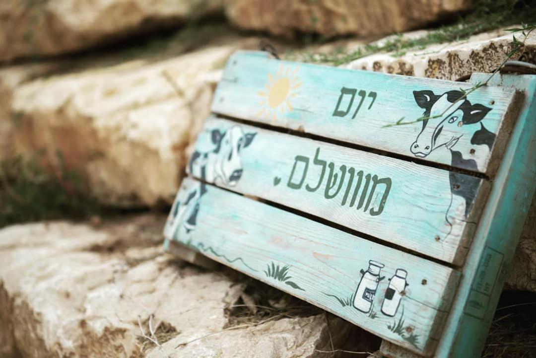 Apartment חלון לגלבוע בוטיק בעמק המעיינות Bet Alfa